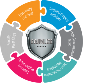 equalize dairy infographic