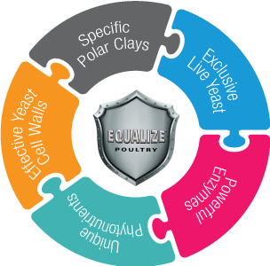 Equalize poultry infographic