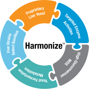 harmonize infographic