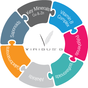 Viribus-B infographic