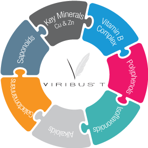 Viribus-T infographic