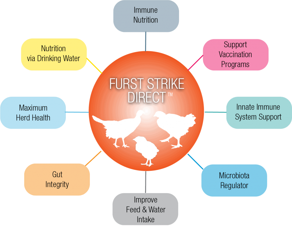 furst strike direct infographic