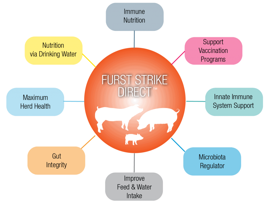 furst strike direct infographic