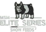 Elite Series logo