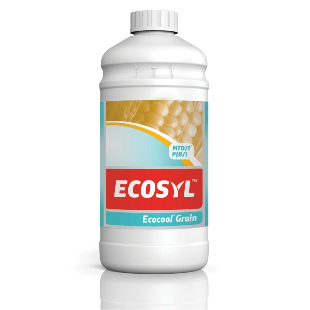 ecocool grain bottle